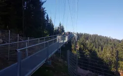 Bild 30: Hängebrücke Wildline am Sommerberg in Bad Wildbad
