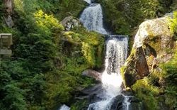 Bild 48: Triberger Wasserfälle höchste Wasserfälle Deutschlands