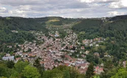 Bild 52: Panoramablick von der Burg auf Schramberg